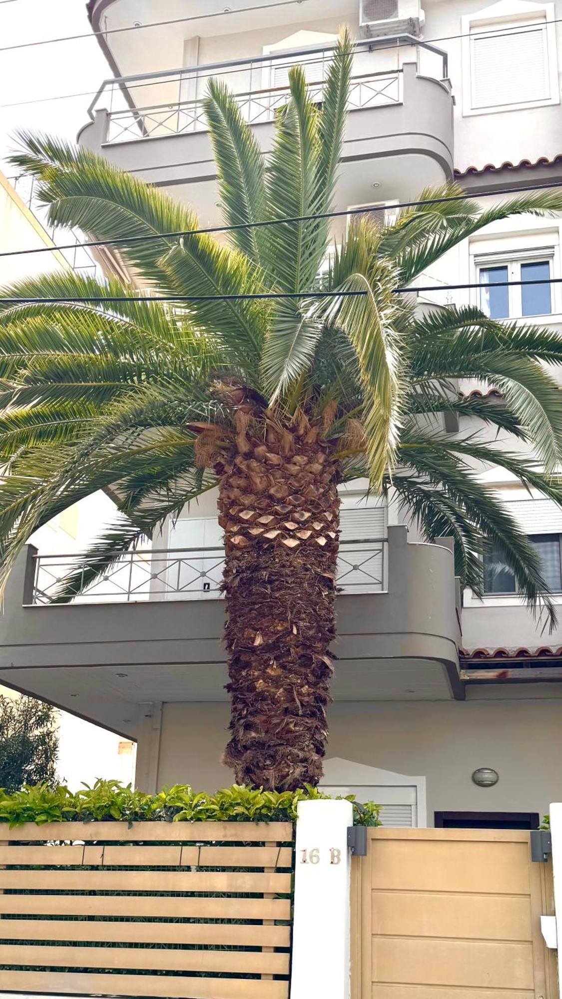 Elegant Glyfada Apartment-Private Garden-Near Metro Atena Exterior foto